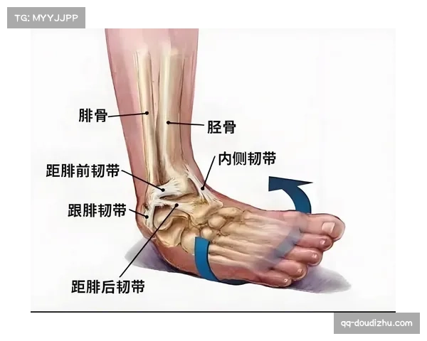 马赛官方宣布主力前锋因脚踝韧带损伤，赛季提前报销
